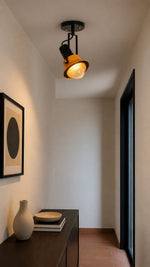 Orbit Ember Spotlight installed in an entryway