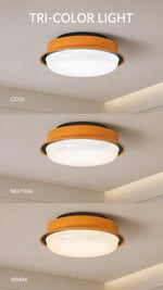 Tri-color light