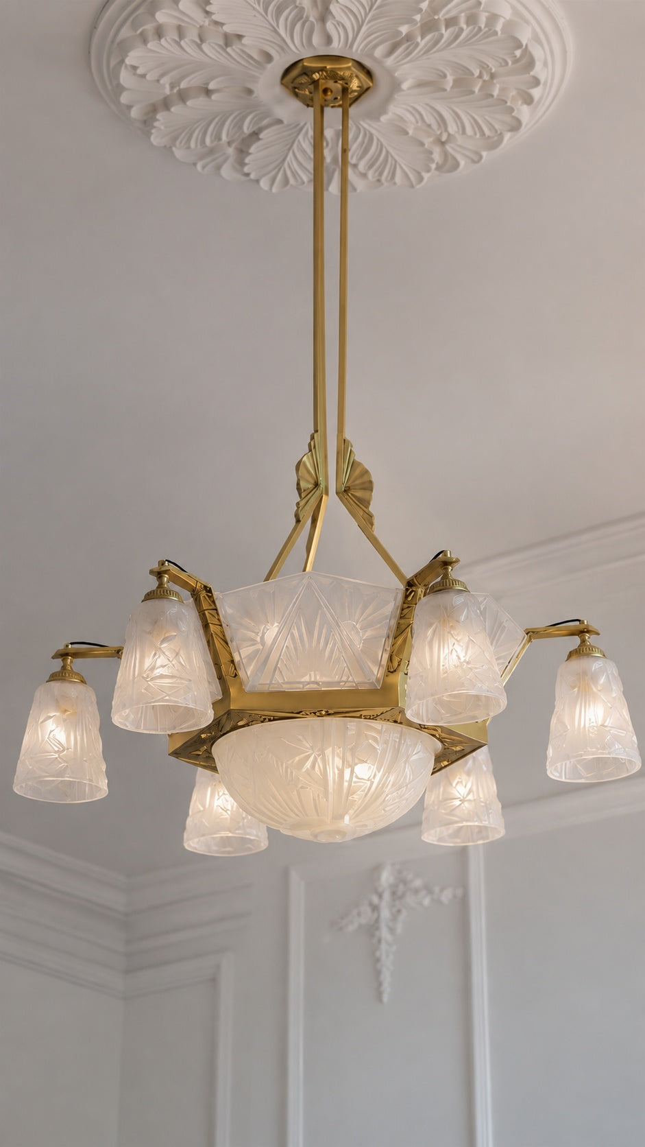 Ceiling canopy and twin rods