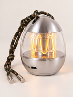 Chrome-finish base and empty USB-C charging port on the Capsule Glow Portable Lamp