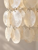 Close-up of natural shell texture and linked hanging discs