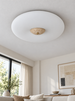 Opal Glass LED Ceiling Light with Natural Stone Center — product view