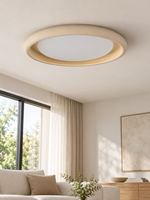 Microcement Round Flush-Mount Ceiling Light — product view