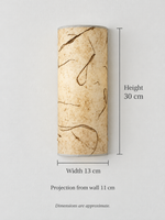 Curved Xuan paper wall sconce — grass dimensions