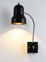 Black gooseneck wall light showing square plate and toggle switch